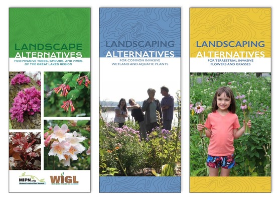 new landscaping alternatives brochures