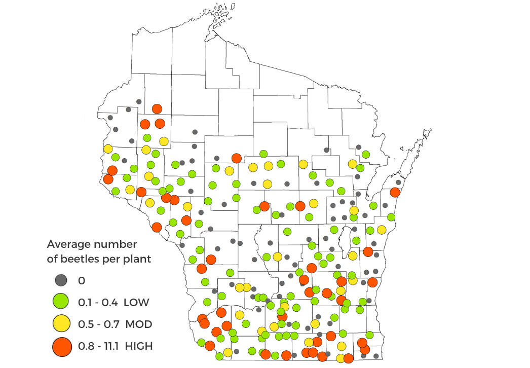 Corn rootworm beetle survey results map 2023