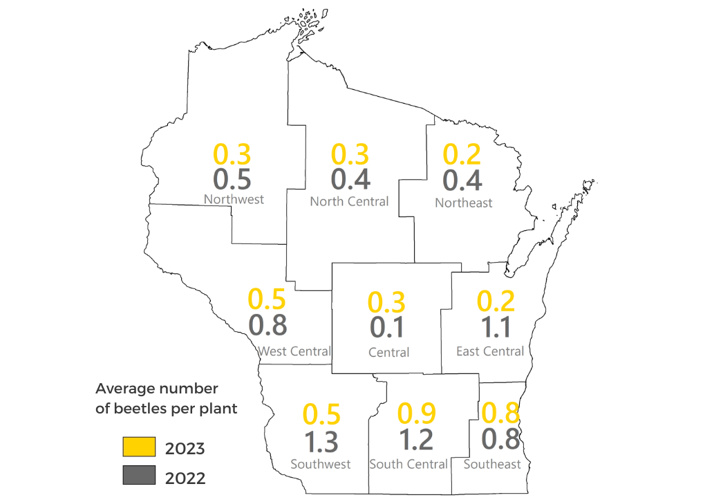 Corn rootworm beetle survey results by crop district 2022-2023