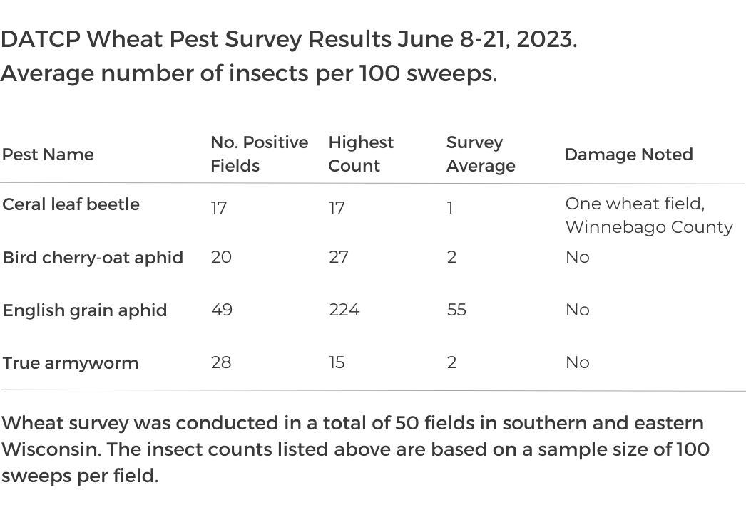 Wheat survey results table 2023