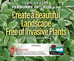 Create a Beautiful Landscape Free of Invasive Plants