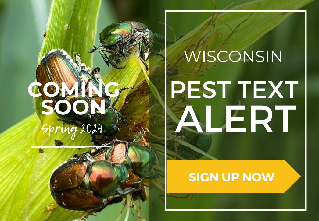 Wisconsin Insect Pest Text Alert Button