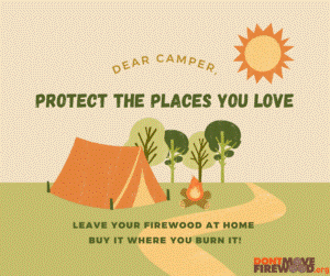 dear camper, protect the places you love, burn it where you buy it