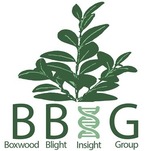 Boxwood Blight Insight Group (BBIG): Sanitation & Nursery Practices webinar registration