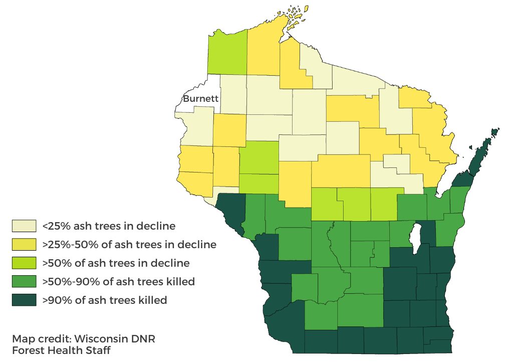 Map of EAB estimated ash decline and mortality