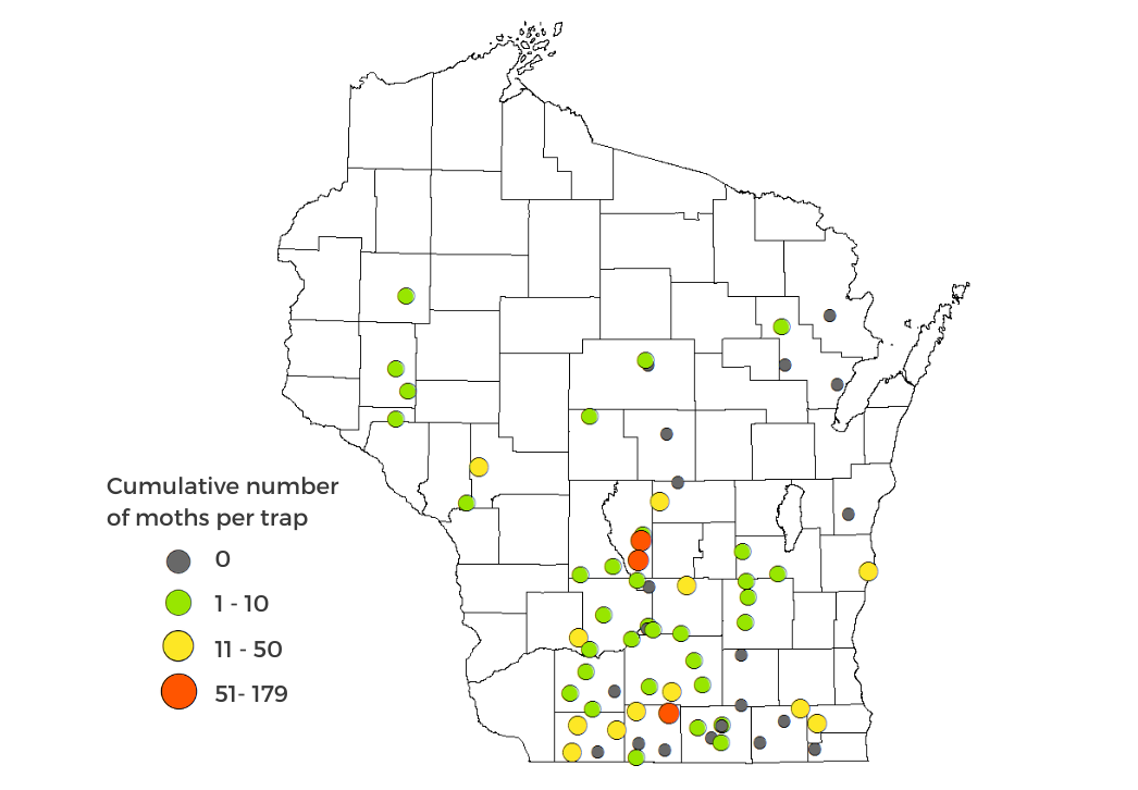Western Bean Cutworm Moth Counts as of July 11 map