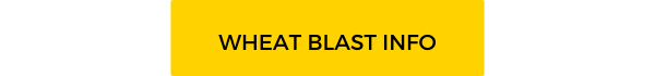 Wheat blast info button