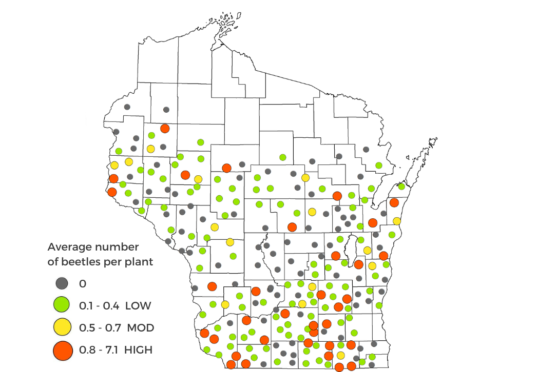 Corn Rootworm Beetle Survey Results map