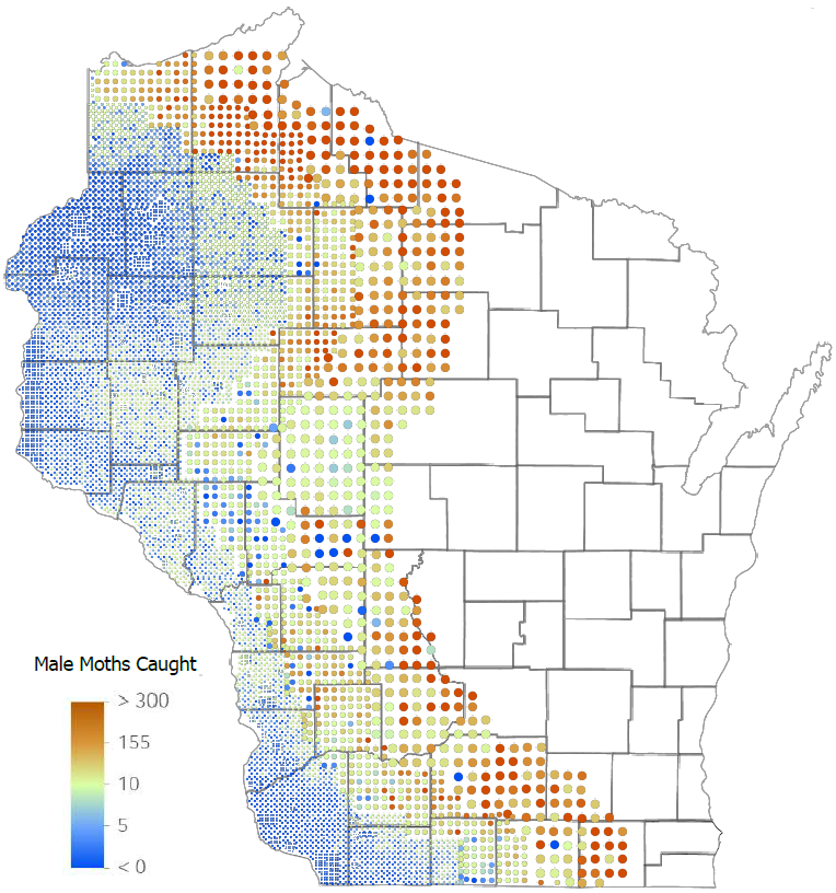 2024 spongy moth trapping map