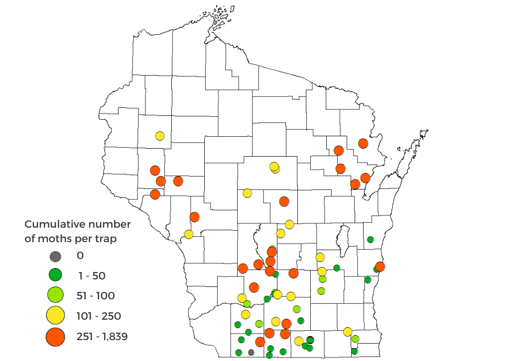 Western bean cutworm moth trap counts 2024 map