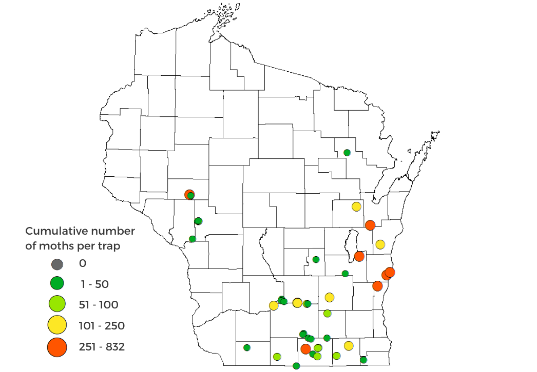 True armyworm moth counts 2024 map