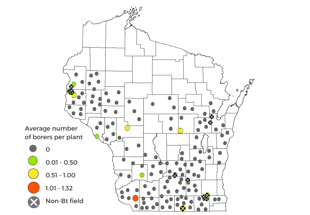 European corn borer survey results map 2024