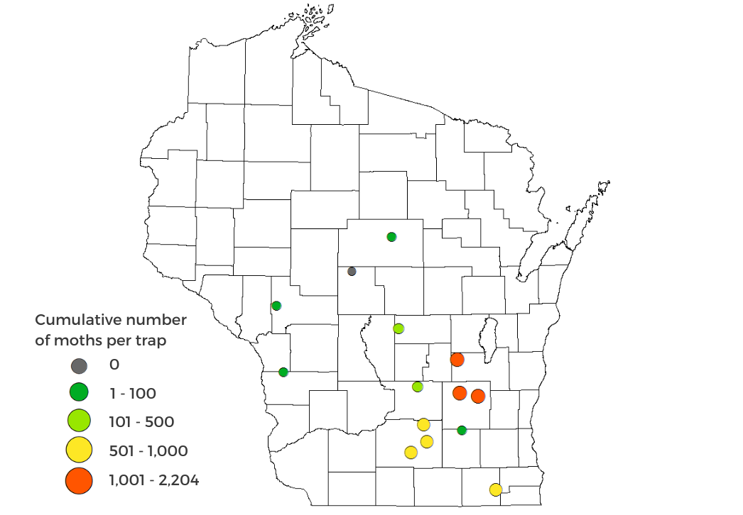 Corn earworm moth trap counts map 2024