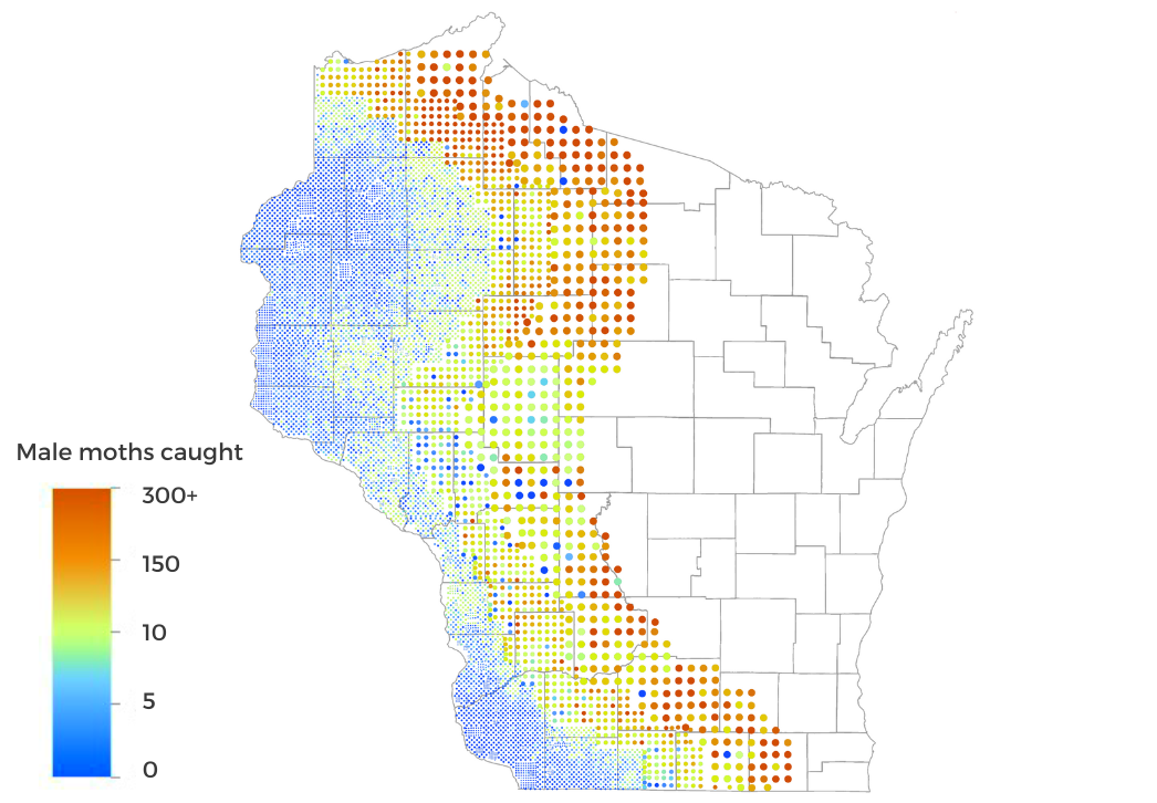 Spongy Moth Trapping Survey Results 2024 map