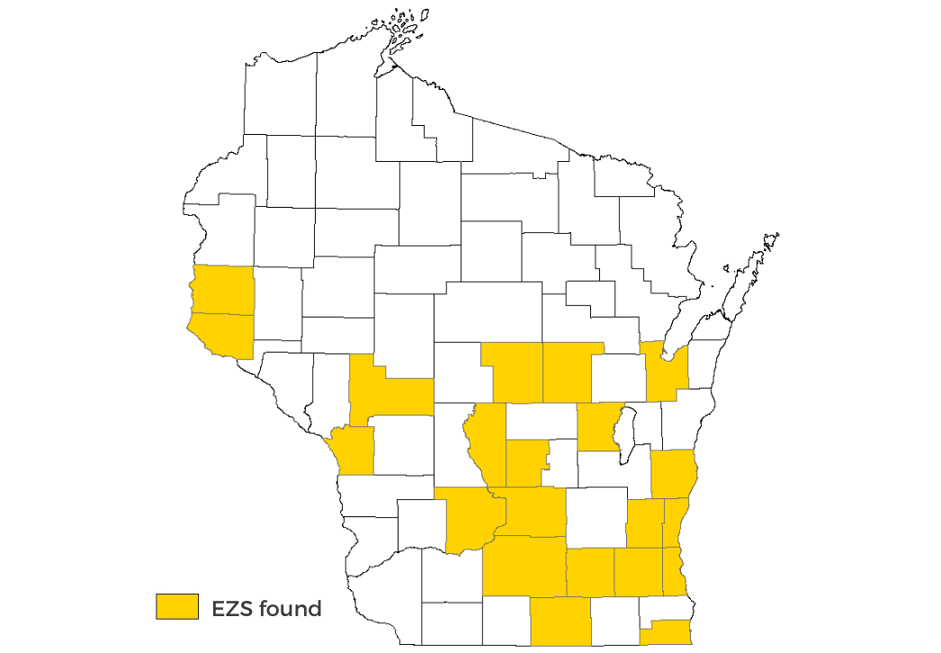 Elm zigzag sawfly current distribution map