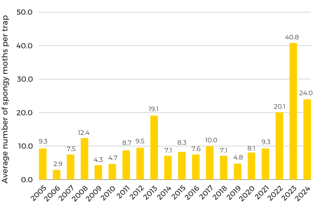 Spongy Moth Trapping Results 20-Year Trend