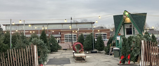 Christmas tree sales lot