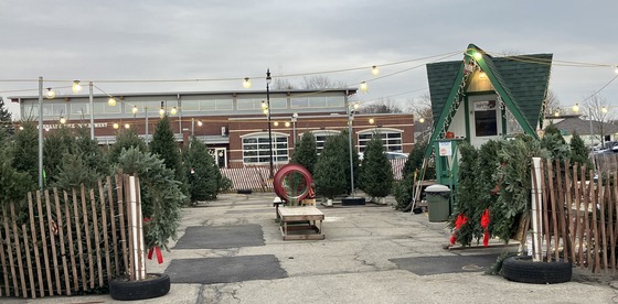 Christmas tree sales lot