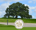 DATCP tree and seal