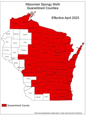 WI counties quarantined for spongy moth
