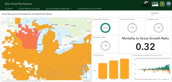Alien forest pest explorer