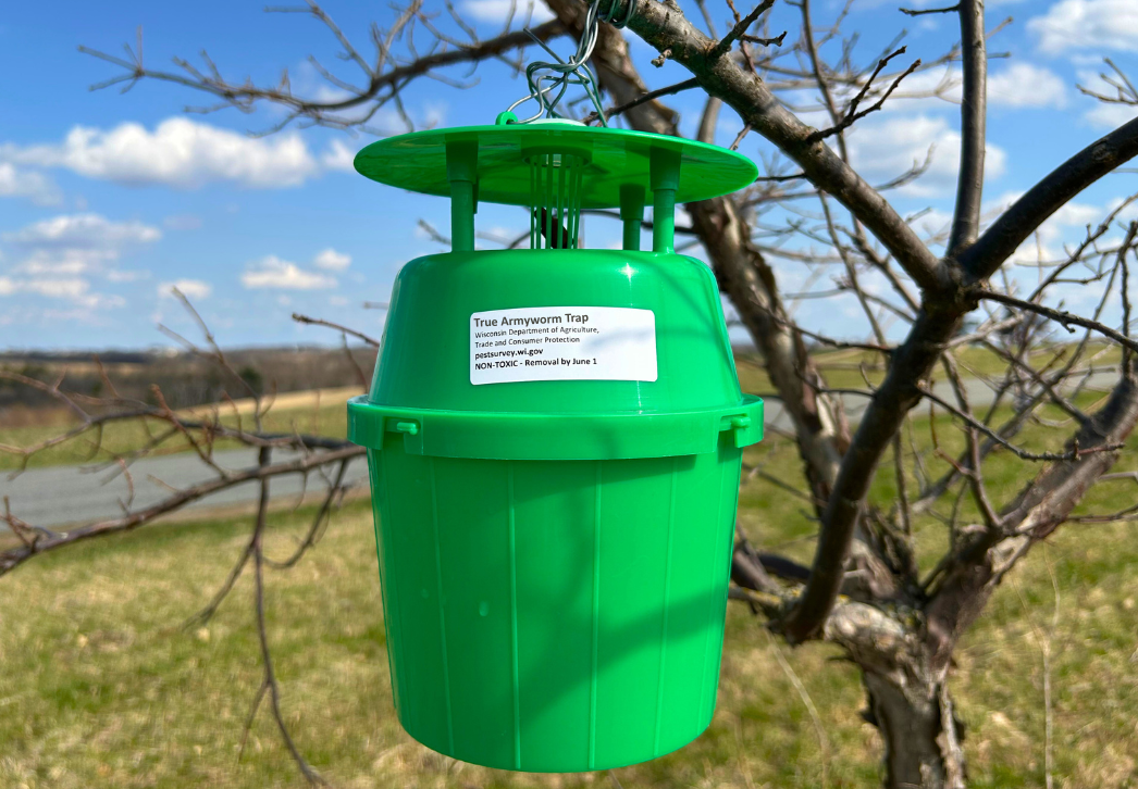 True Armyworm Green Bucket Trap