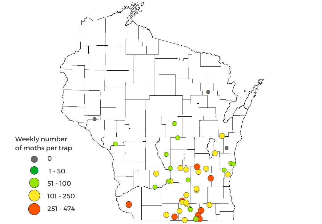 True Armyworm Moth Counts April 17-23, 2025