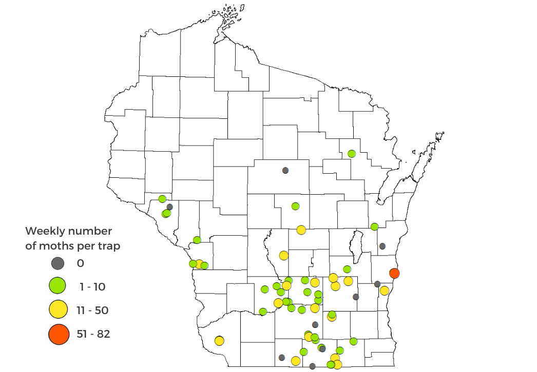 Black Cutworm Moth Counts April 17-23, 2025