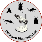 UW insect diagnostic lab logo