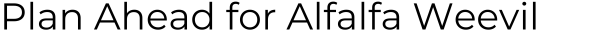 Plan Ahead for Alfalfa Weevil