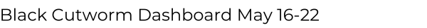 Black Cutworm Dashboard May 16-22