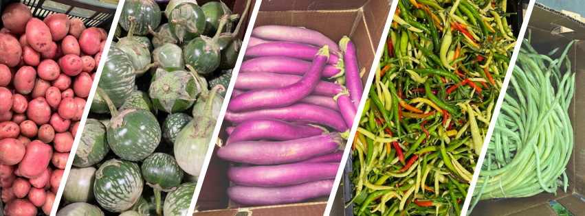 The Wisconsin Food Forward