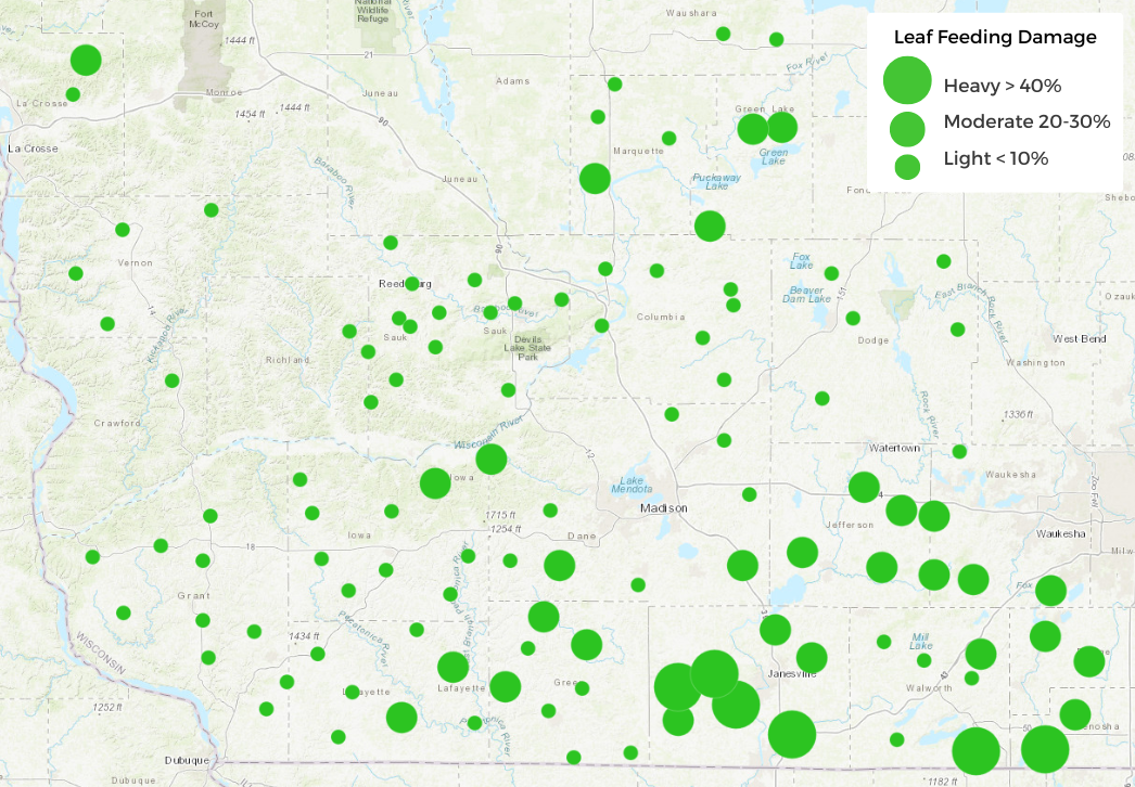 Alfalfa Weevil Map