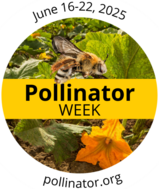 pollinator week logo