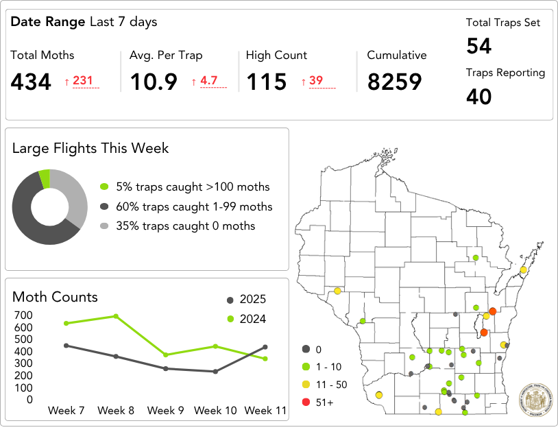 True Armyworm Dashboard June 6-12