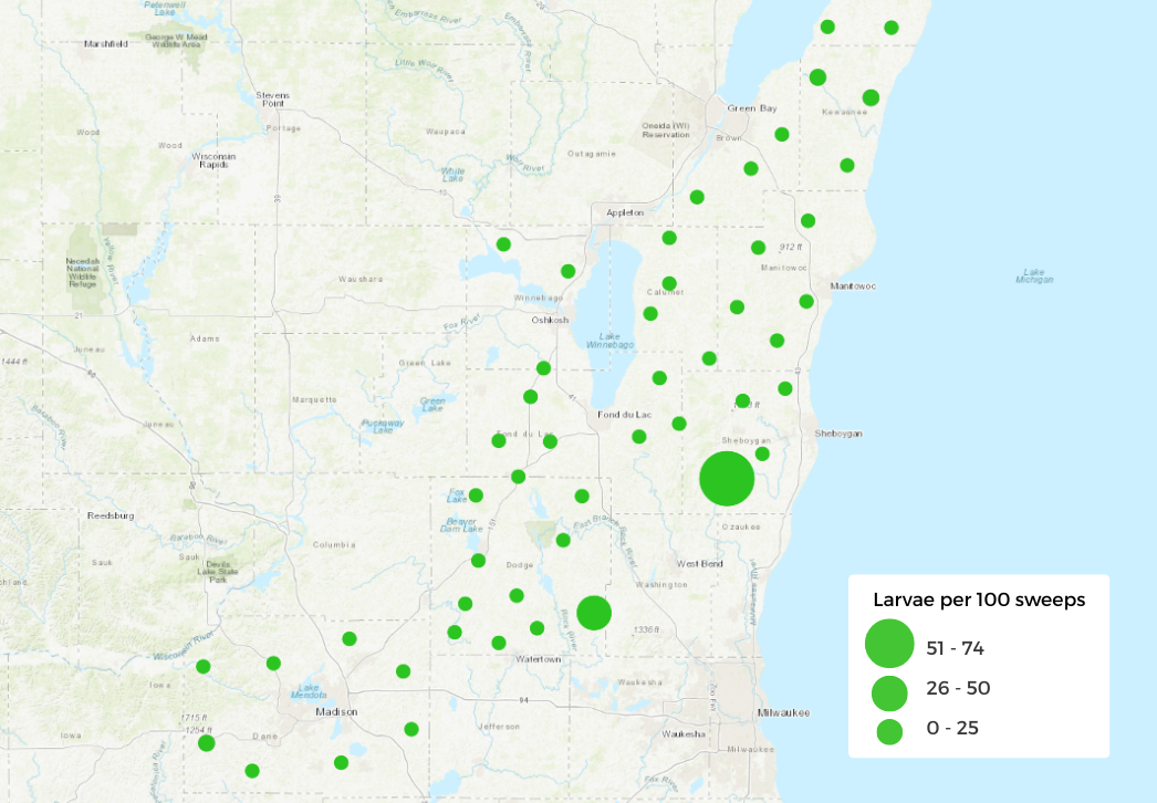 Cereal Leaf Beetle Sweep Net Counts
