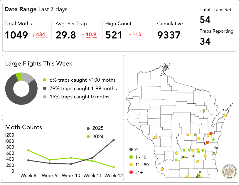 True Armyworm Dashboard June 13-19