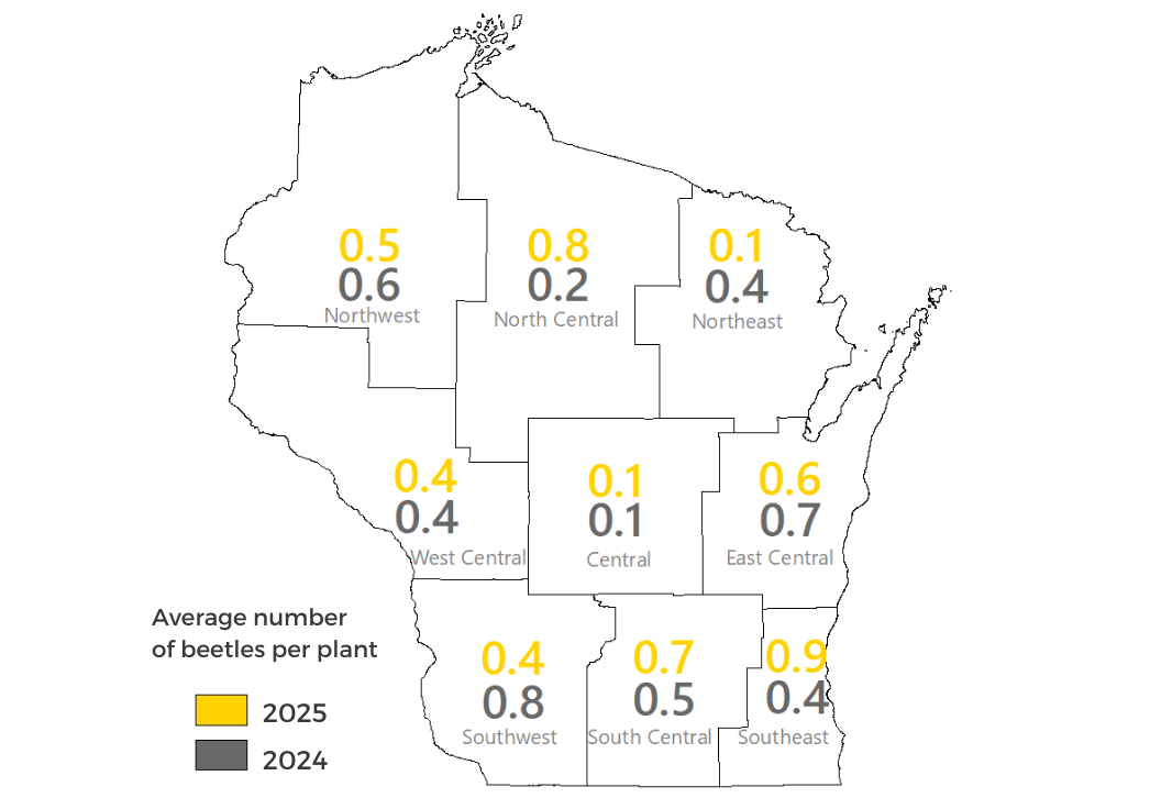 Corn Rootworm Beetle Survey Results by District 2025