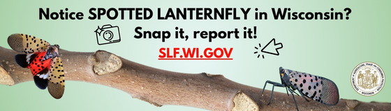 Spotted Lanternfly billboard in SE WI