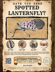 have you seen Spotted lanternfly poster