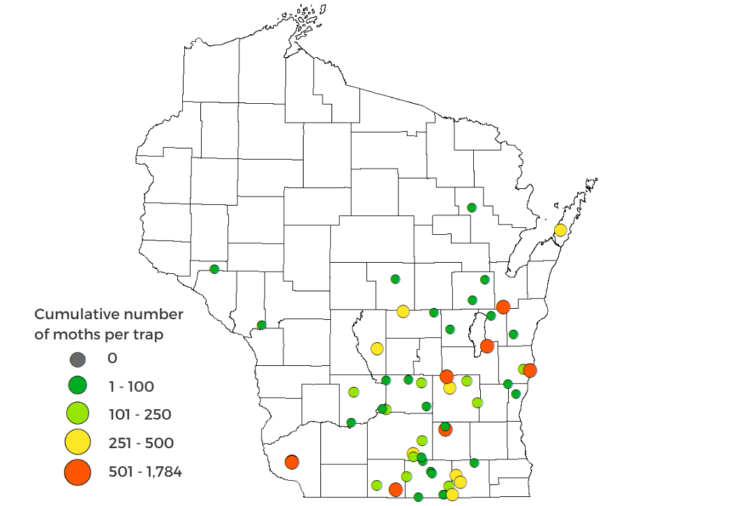 True Armyworm Moth Counts 2025 Map