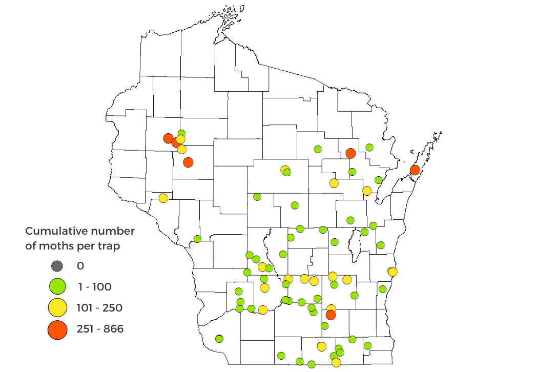 Western Bean Cutworm Moth Counts 2025 Map