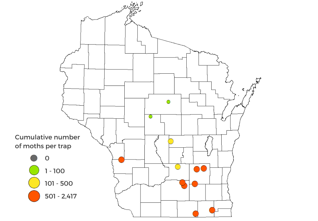Corn Earworm Moth Counts 2025 Map
