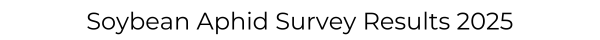 Soybean Aphid Survey Results 2025