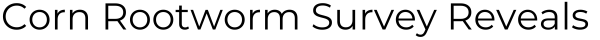 Corn Rootworm Survey Reveals