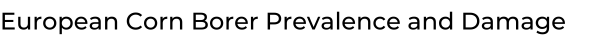 European Corn Borer Prevalence and Damage