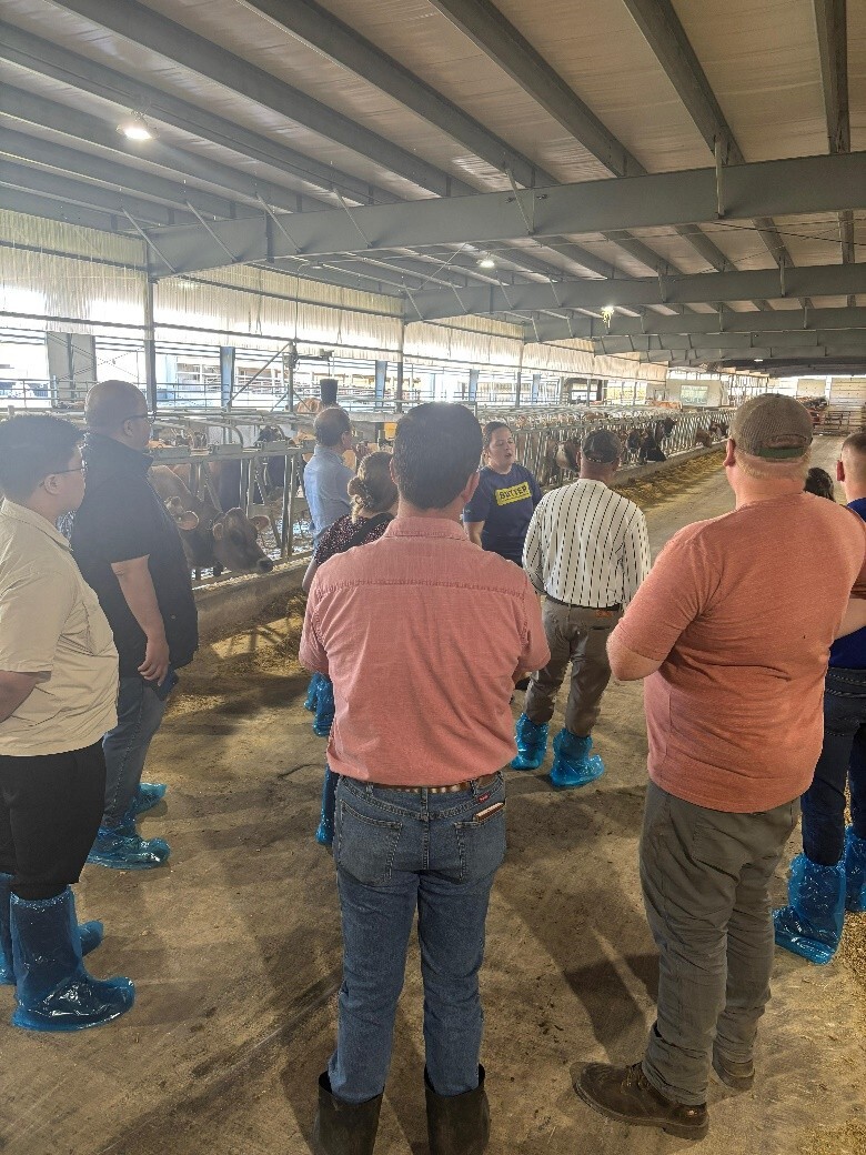 Food Export Feed Buyers 2025