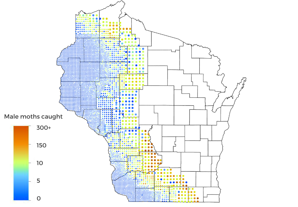 Spongy Moth Trap Count Map 2025
