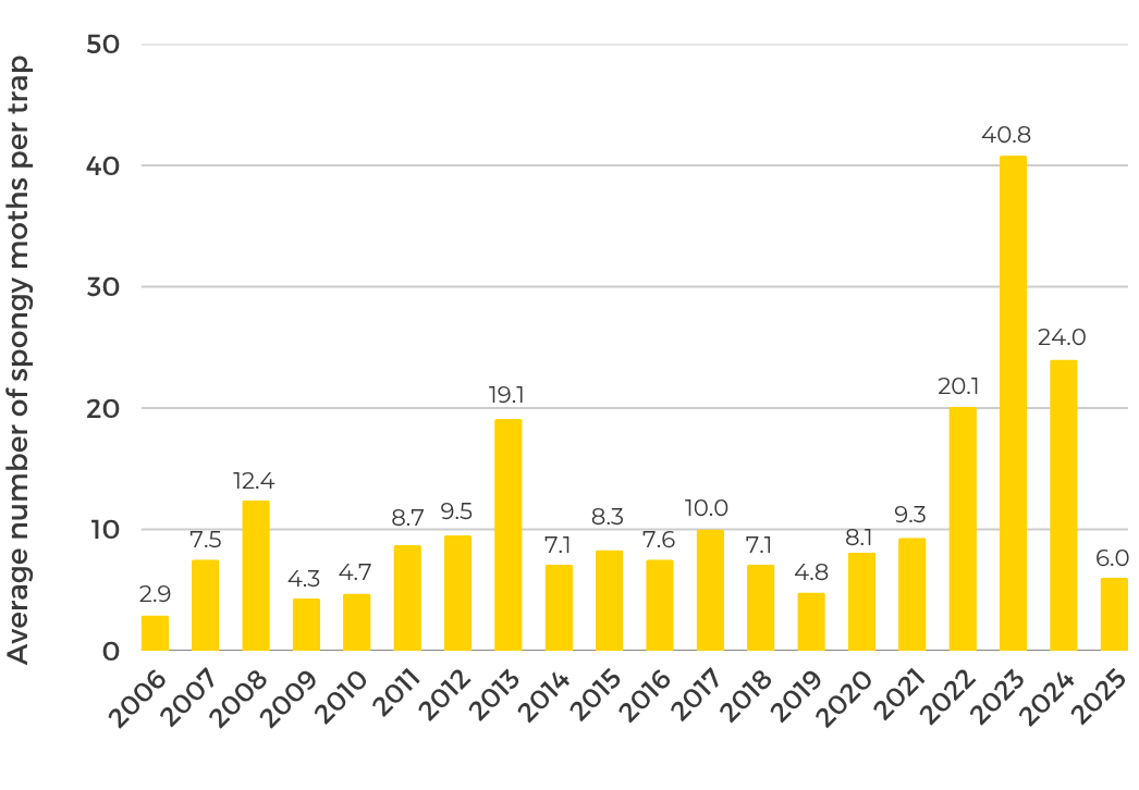 Spongy Moth State Average Moth Count 2016-2025 Graph