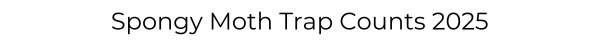 Spongy Moth Trap Counts 2025
